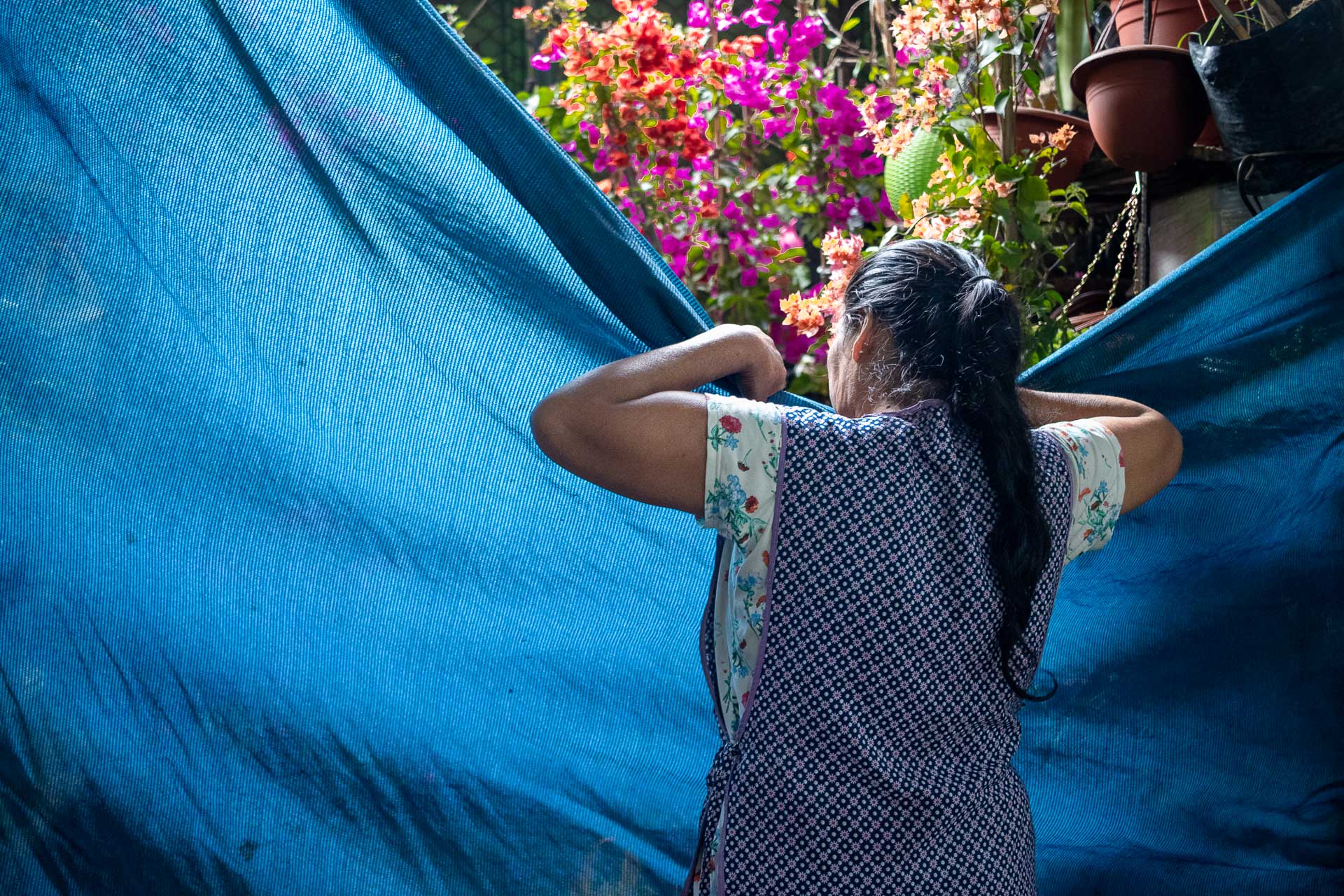 Mercado de Flores, Acho. 2023.